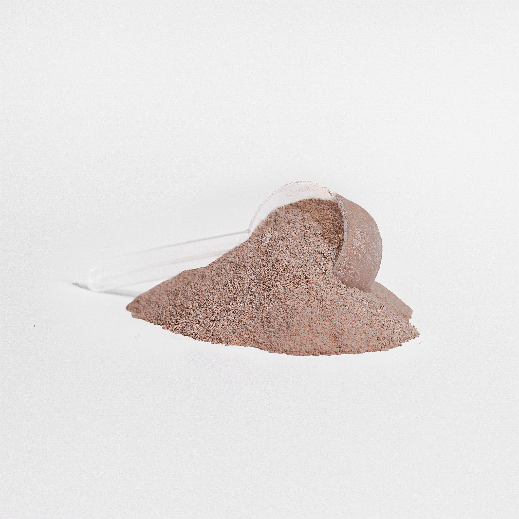 Whey Isolate vs Plant Protein: Which Fits Your Goals, Routine, and Preferences?